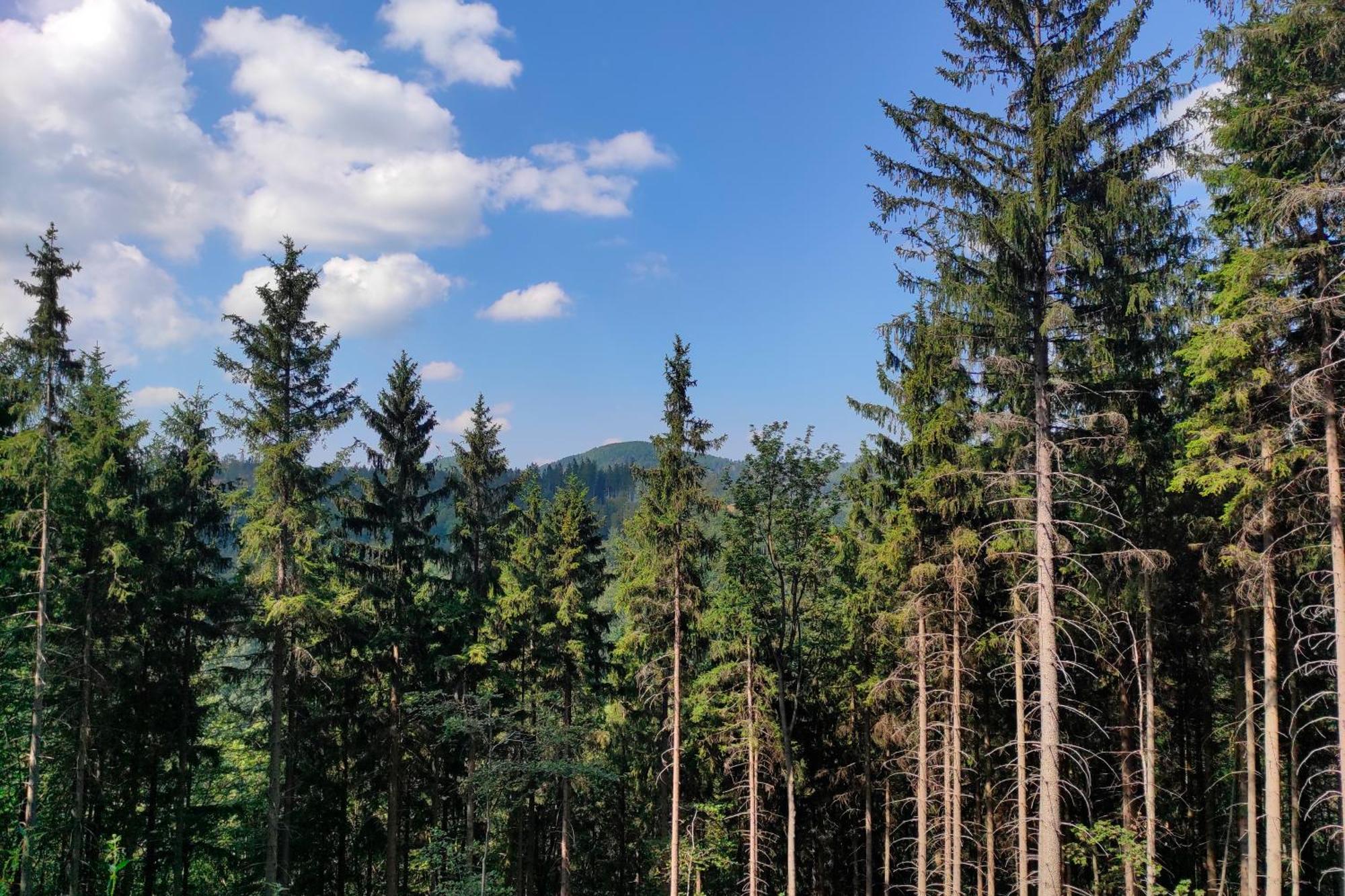 Mia Domo - Wypoczynek W Gorach Suchych, Kamiennych I Sowich Villa Gluszyca Eksteriør bilde