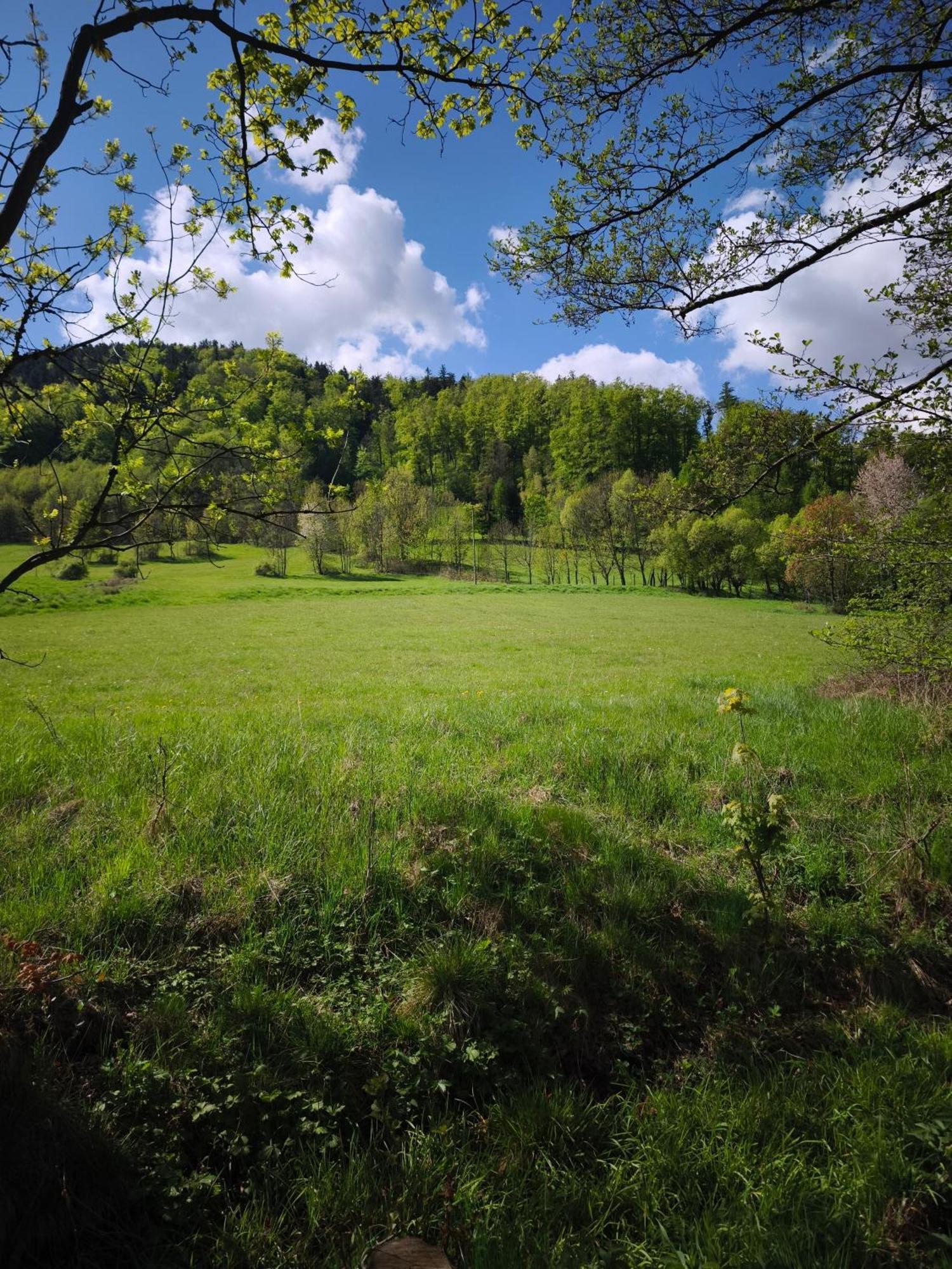 Mia Domo - Wypoczynek W Gorach Suchych, Kamiennych I Sowich Villa Gluszyca Eksteriør bilde