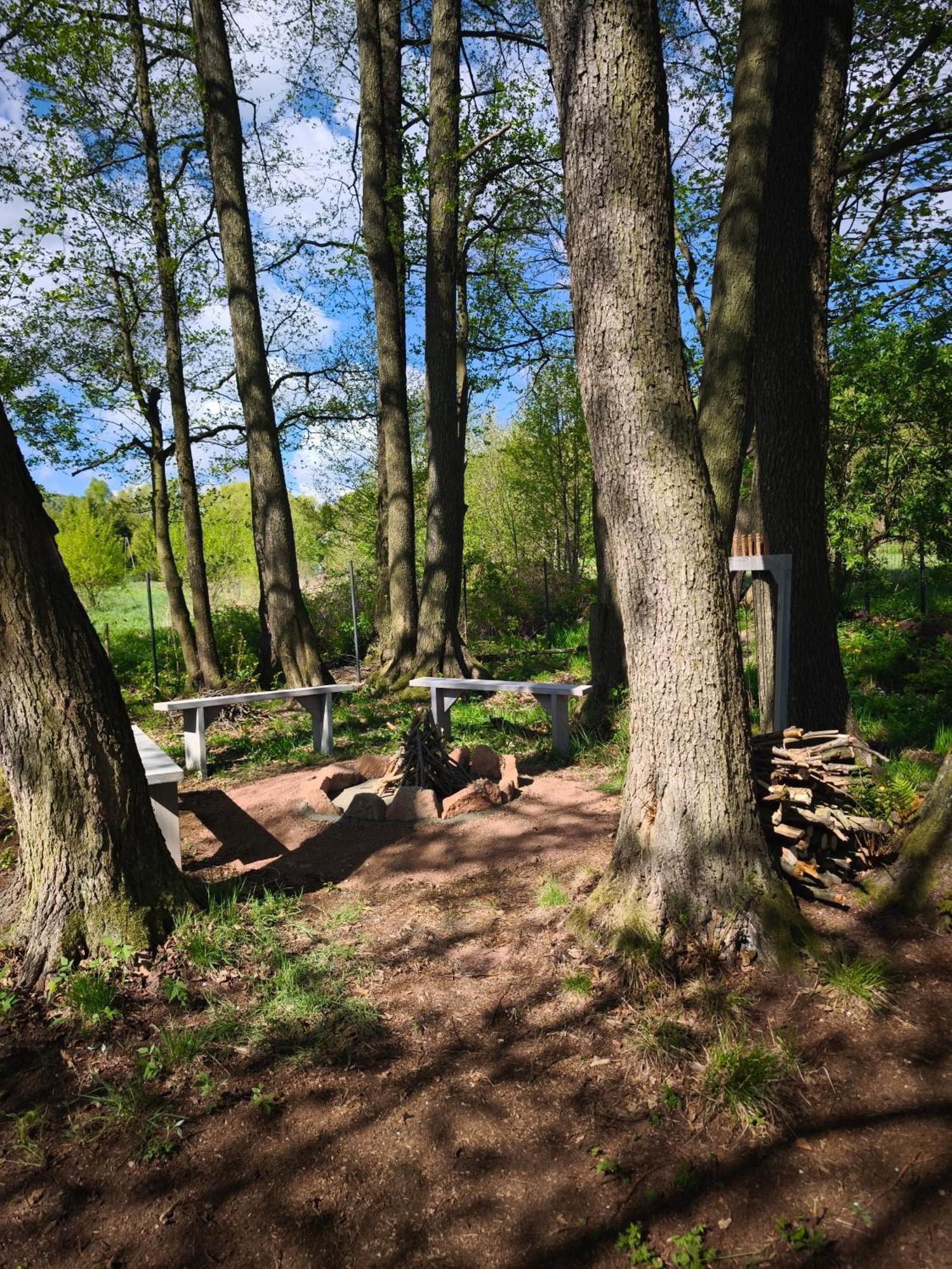 Mia Domo - Wypoczynek W Gorach Suchych, Kamiennych I Sowich Villa Gluszyca Eksteriør bilde